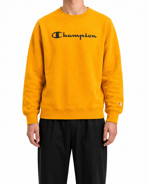 Champion Pullover