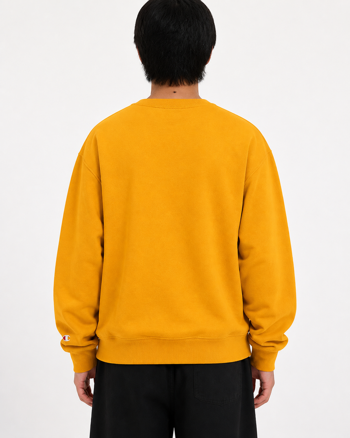 Champion Pullover