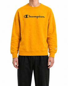 Champion Pullover