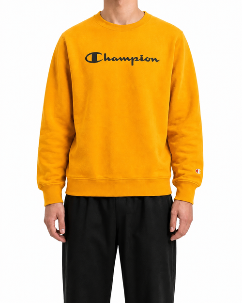 Champion Pullover